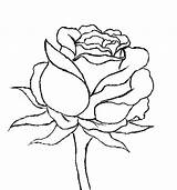 Rose Drawing Red Roses Draw Drawings Step Stem Leaf Long Tattoo Flower Rosen Instructables Single Flowers Getdrawings Sketch Beautiful Easy sketch template
