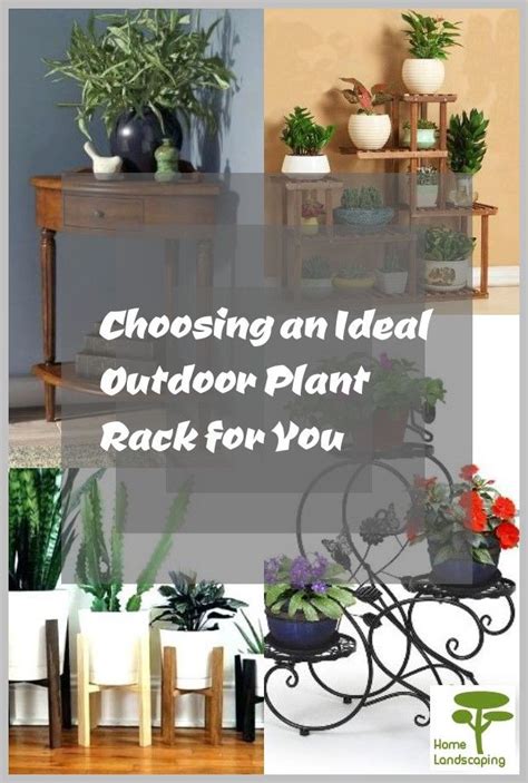 strategies  practical choosing outdoor plant rack tips   plants outdoor plants home