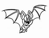 Morcego Pipistrello Murcielago Colorare Murcielagos Murciélago Disegni Flores Acolore sketch template