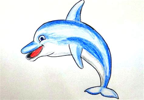 easy dolphin drawing  getdrawings