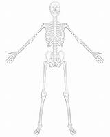 Coloring Skeleton Pages Filminspector Entelodont Pig Hell sketch template