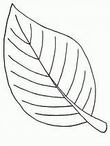 Coloring Palm Leaf Branch Pages Library Clipart sketch template