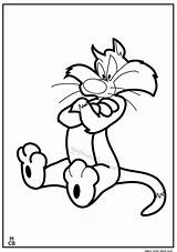 Sylvester Coloring Pages Cat Tweety Clipart Bird Print Library Search Again Bar Case Looking Don Use Find Popular sketch template