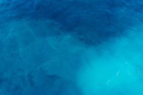 images sea water ocean underwater blue fish reef wind wave marine biology