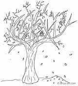 Baum Ausmalbild Ausmalen Malvorlagen Herbstbaum Bäume Kürbis Artus Atemberaubende sketch template