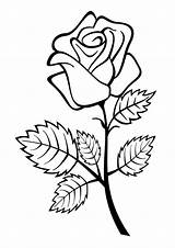 Roses Indiaparenting sketch template