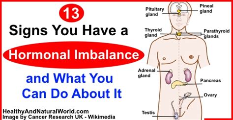 13 Signs You Have A Hormonal Imbalance And What You Can Do About It