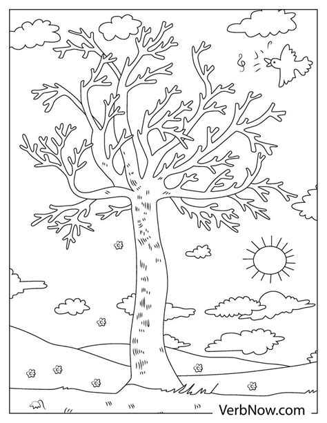 trees coloring pages book   printable  verbnow