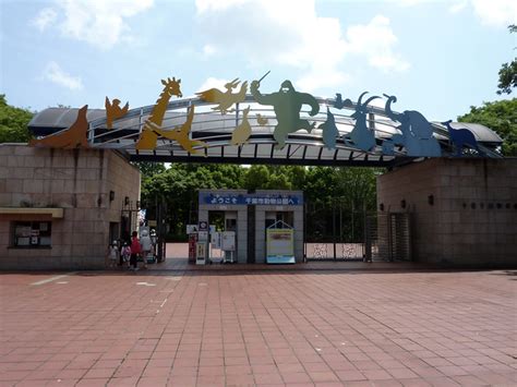zoo entrance gate flickr photo sharing