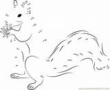 Dots Connect Squirrel Dot Animals Printable Worksheet Kids Coloring Popular Library Clipart Coloringhome sketch template