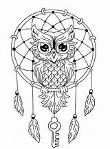 Gufi Stampare Colorati Unico Owls Ger sketch template