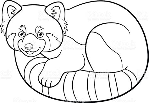 red panda drawing  getdrawings