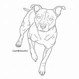 Bull Terrier Staffordshire Deviantart Coloring Lineart Tattoo Pages Drawing Dog Line Pit Template Bullterrier Sketch Staffy Drawings Pitbull Sketches Clipart sketch template