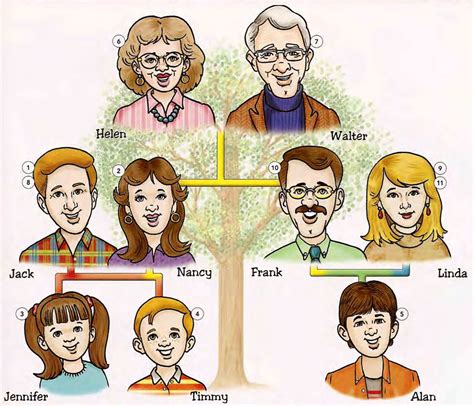 learn vocabulary  pictures family members ii english