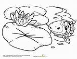 Water Monet Lily Pond Coloring Bing Sheets Pages Lilies Worksheets Color Flowers Preschool Flower Printable Kids Pad Drawing Open Books sketch template