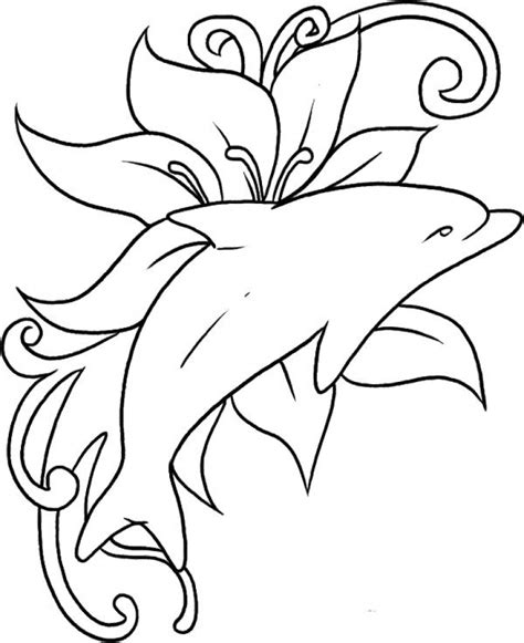 dolphin coloring pages printable  printable templates