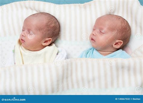adorable twin babies sleeping    pose closeup portrait caucasian child stock