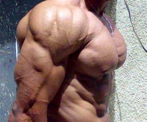 big chest 45955 mymusclevideo