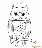Owl Coloring Kids Sheet sketch template