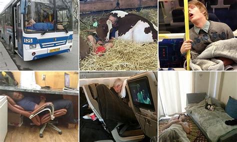 Photos Capture The World S Most Unusual Sleeping Positions Daily Mail