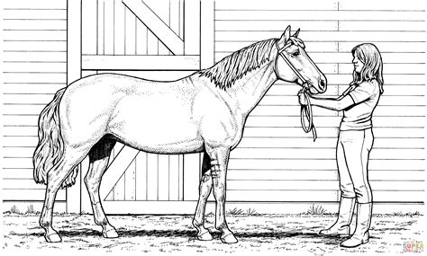 printable coloring pages horses