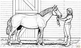 Horse Coloring Pages Printable Realistic Horses Color Mare Print Adults Animal Woman Drawing Sheets Kids Hard Dog Supercoloring Main Cute sketch template
