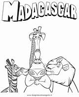 Madagascar Cartoni Madagascar3 Animati sketch template