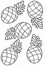 Pineapple2 sketch template