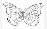 Butterfly Outline Patterns Silhouette Pattern Coloring Clipart Outlines Cliparts Clip Printable Craft Embroidery Drawing Butterflies Wood Library Book Color скачать sketch template