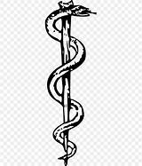 Asclepius Symbol Rod Staff Medicine Hermes Ancient Caduceus Greece sketch template