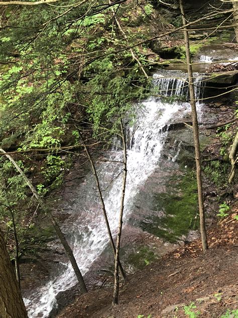 Pa Grand Canyon Turkey Path At Colton Point State Park