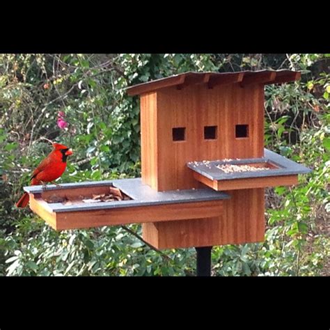 cardinal birdhouse plans  printable cardinal birdhouse plans  home improvement