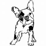 Bulldog French Coloring Pages Dog Terrier Bull Silhouette Drawing Boston Para Frances Dibujo Clipart Easy Yorkshire Perros Perro Stencils Designs sketch template