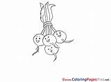 Coloring Pages Radish Vegetables Sheet Title sketch template