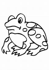Kleurplaat Kikker Kikkers Kleurplaten Sapo Grenouille Frog Mewarnai Coloriages Katak Kodok Sapos Ausmalbilder Dibujar Frosche Frogs Frosch Coloriage Ranas Bergerak sketch template
