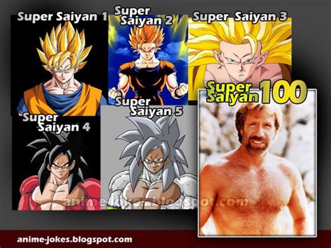 Dragon Ball Z Images Funny Hd Wallpaper And Background Photos 35761032