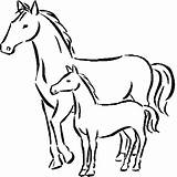 Horse Coloring Pages Colouring Pag Horses sketch template
