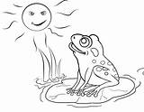 Printable Colorat Lac Grenouille Frosch Ausmalbilder Broscuta Friends Toad Broscute Coloringtop Grown Trippy Sfatulmamicilor Coloringhome Coloriages ähnliche Plansa sketch template