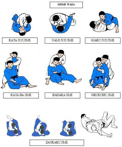Judo Shime Waza Estrangulaciones Karate Martial Arts Martial
