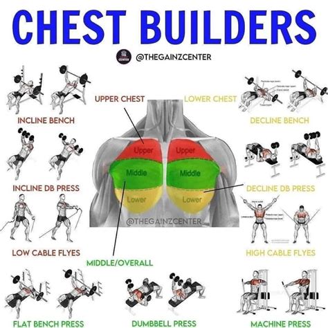 chest exercises  men man   gym chest workout
