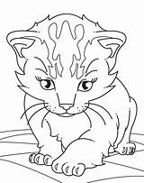 Chaton Sleppy Coloriages Designlooter Tete Colouring sketch template