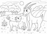 Animals Families Meadow Goats Goatling Prato Famiglia Colorare Capre Fumetto Enfants sketch template