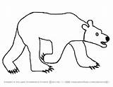Bear Polar Eric Coloring Carle Pages Getdrawings Drawing sketch template