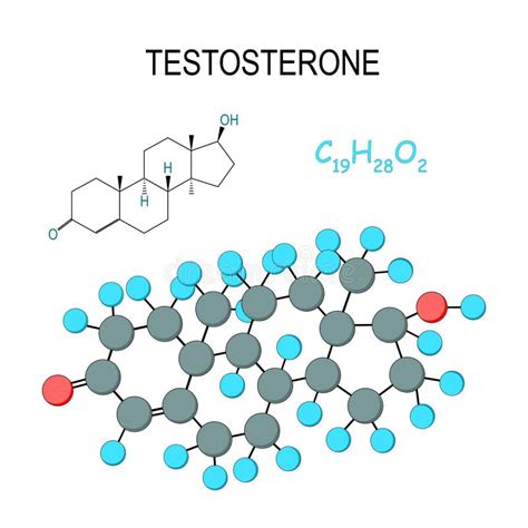 formula estrutural da testosterona ilustracao stock ilustracao de testosterona estrutural