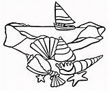 Coloring Pages Seashell Seashells sketch template