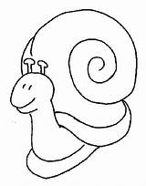 Escargot Coloriage Snail Siput Babi Mewarna Ashgive Whenever Snails Coloriages sketch template