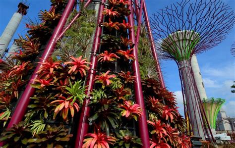 Gardens By The Bay Grant Associates And Wilkinson Eyre