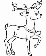 Reindeer Printable Template Coloring Comments sketch template