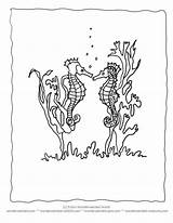 Coloring Pages Seaweed Ocean Seahorse Wildlife Template Cute Collection Choose Board Popular Print sketch template