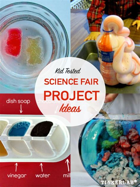 science fair project ideas tinkerlab